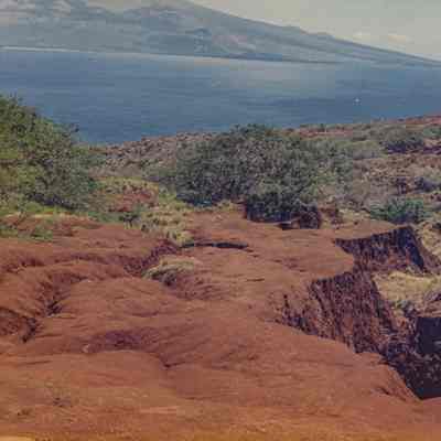 Hardpan and gully with trees