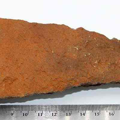 Adze preform with ruler: Origsize: 14.5 cm (L) X 6.25 c; Origformat: Artifact; Resolution: 200 dpi