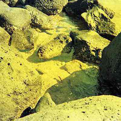 Rocky coastline