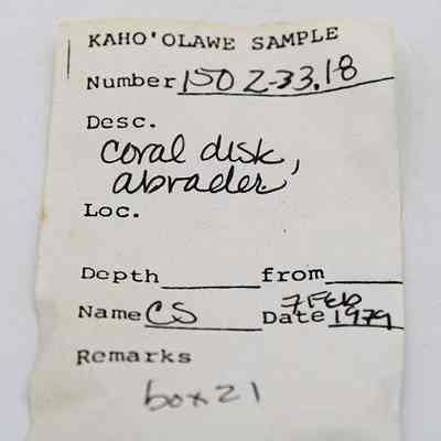 Artifact slip for a coral disk or abrader: Original format: Other; Resolution: 200 dpi