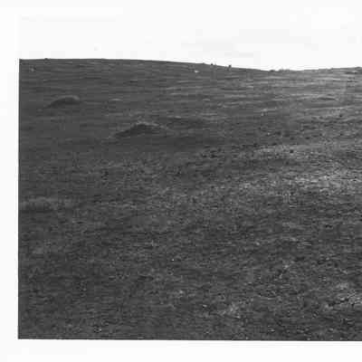 Site 110BM #3