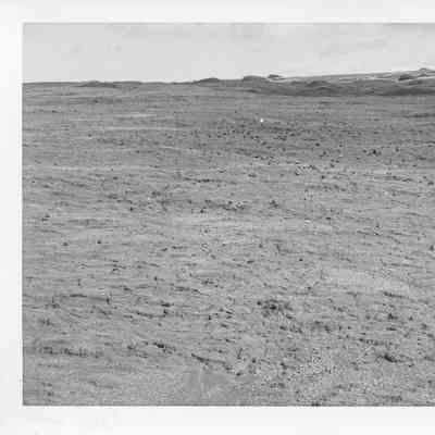Site 110D #2
