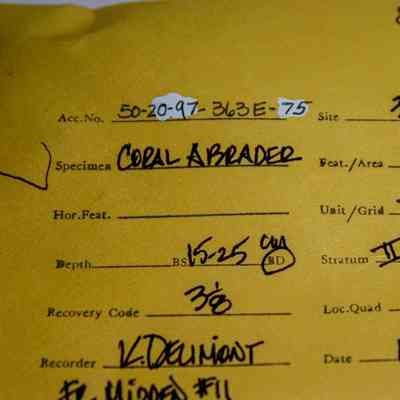 Manila artifact envelope for coral abraded: The image shows a labeled archaeological envelope, with details like accession number 50-20-97 and specimen marked as "CORAL ABRADER"