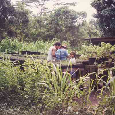 People working on plant propagation