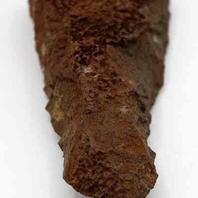 Lengthwise adze preform from top: Origsize: 14.5 cm (L) x 6.25 c; Origformat: Artifact; Resolution: 200 dpi