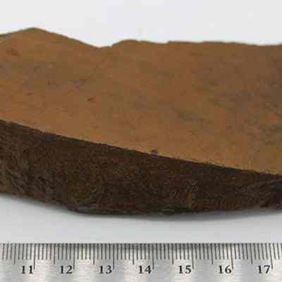 Fragment