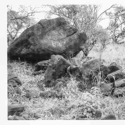 Site 106J #14