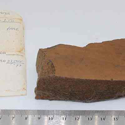Polished fragment with artifact slip: Origsize: 11.5 cm (L) x 3 cm (; Origformat: Artifact; Resolution: 200 dpi