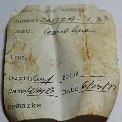 Artifact slip for cowrie shell lure: Origformat: Other