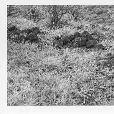 Site 106P #29