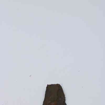 Closeup of basaltic glass flake: The image depicts a dark brown basaltic glass flake with irregular edges, resting on a plain light gray surface.