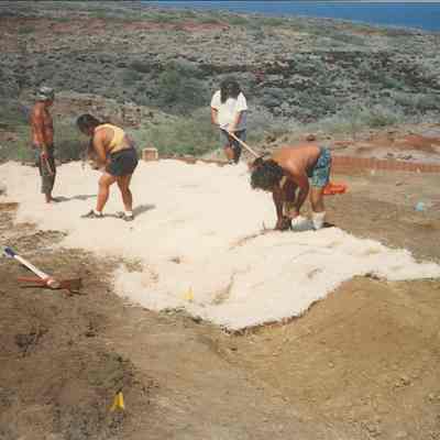 Several people working on soil erosion