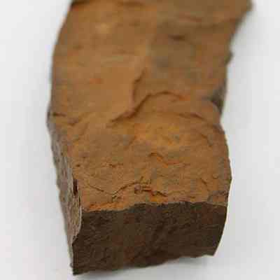Lengthwise view of polished fragment: Origsize: 11.5 cm (L) x 3 cm (; Origformat: Artifact; Resolution: 200 dpi