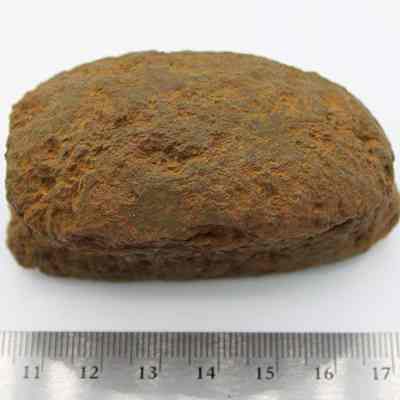 Closeup top view of breadloaf sinker with ruler: The image shows a rough, brown, oval-shaped rock placed on a flat surface, next to a metallic ruler indicating its size.