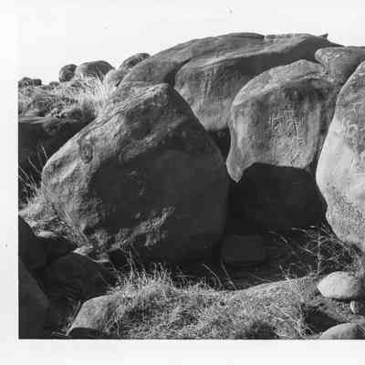 Site 110AP #07A