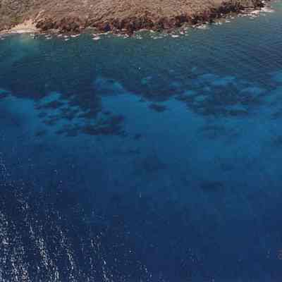 Aerial view of underwater coral