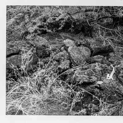 Site 647B #3