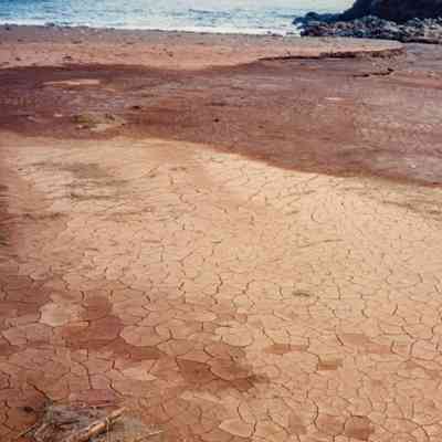 Cracked hardpan terrain near beach