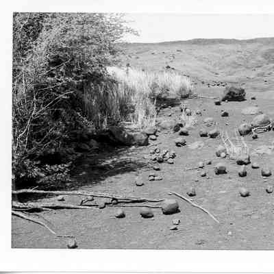 Site 110AM #24