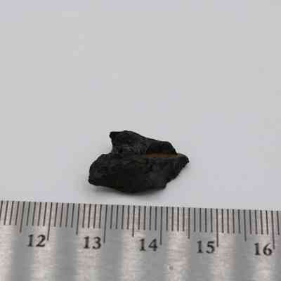 Closeup of basaltic glass cortex flake with ruler: The image shows a small, dark basaltic glass cortex flake placed beside a metal ruler for scale reference.