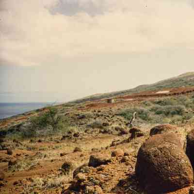 Boulders on hardpan