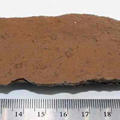 Basalt knife (pahi) with ruler: The image shows a flat basalt knife (pahi) blade next to a metric ruler, measuring around 12 centimeters in length.