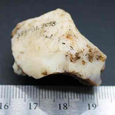 Quartzite core with visible alternate id number and ruler: The image depicts a piece of a white stone with some dirt and a number inscribed, placed on a surface beside a ruler for measurement.