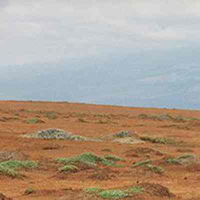 Group of people hiking on hard pan
