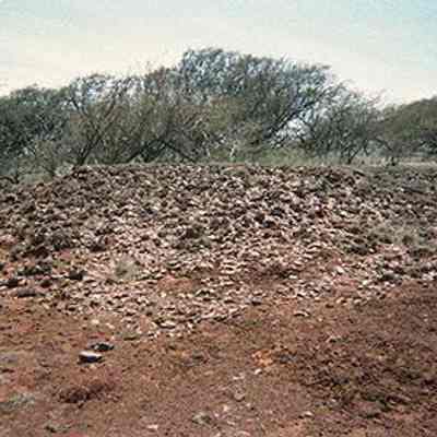 Apparent lithic scatter