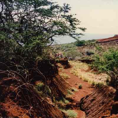Hardpan gully
