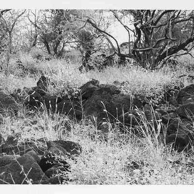 Site 106D #2