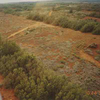 Aerial of forest and part of road