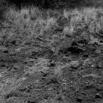 Site 578 #21