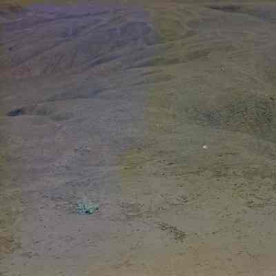 Hardpan terrain