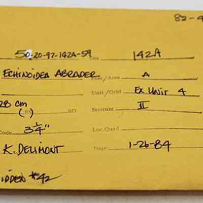 Artifact envelope for abrader: The image shows a yellow artifact collection envelope with handwritten information about a specimen, including details like accession number, specimen name, stratigraphy, and recorder's name.