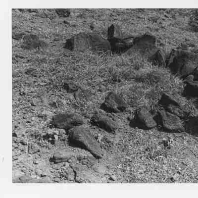 Site 364E