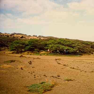 Landscape with people in far distance