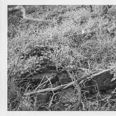 Site 106F #35