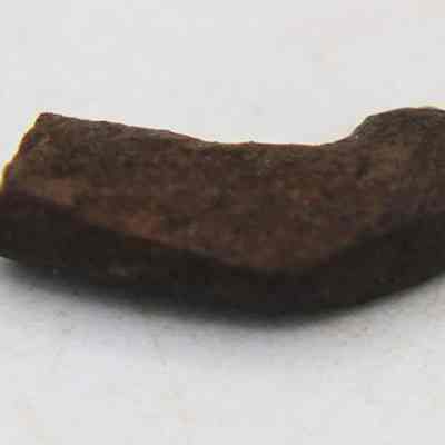 Closeup of a makau (fish hook) fragment: The image shows a small, irregularly shaped, dark brown fragment of a makau (fish hook) fragment.