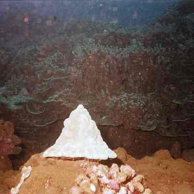 Hakioawa sediment site
