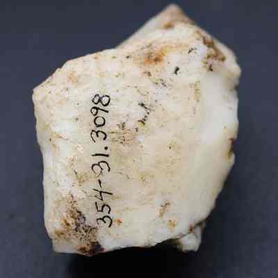 Closeup of quartzite core with visible alternate id number: A rough, beige rock is placed against a dark background, with numbers written on it in black ink,  for identification purposes.