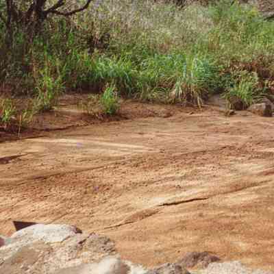 Possible dry streambed