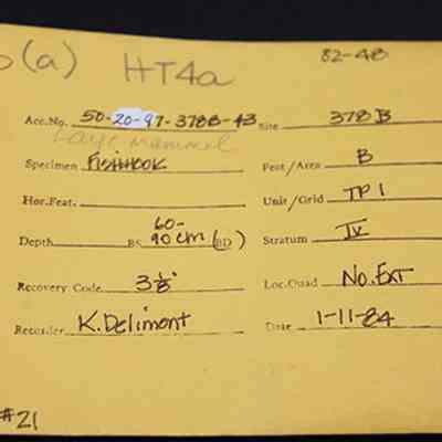 Artifact envelope for fishhook portion: The image shows a yellow archaeological envelope card detailing information about a recovered fishhook specimen, including dimensions, location, depth, recovery code, and date of recovery.