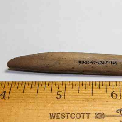 An echinoid abrader with identifying number in black ink: A brown, elongated object with markings is positioned above a wooden ruler marked "WESTCOTT," indicating a length of approximately three inches.