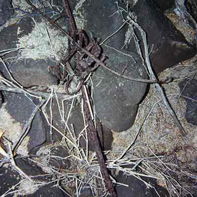 Rusted metal implements