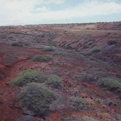 Aerial of area with gully in background