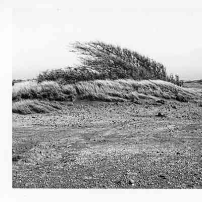 Site 102, #3