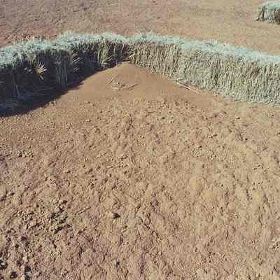 Pili bales helping to gather soil