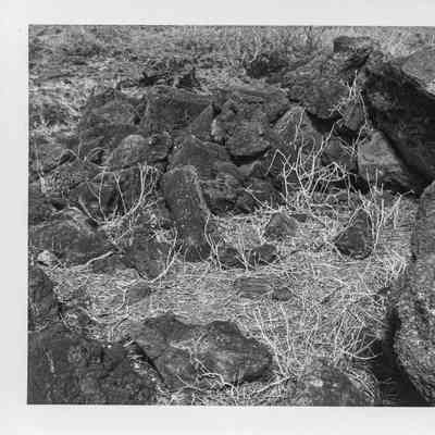 Site 638D #16