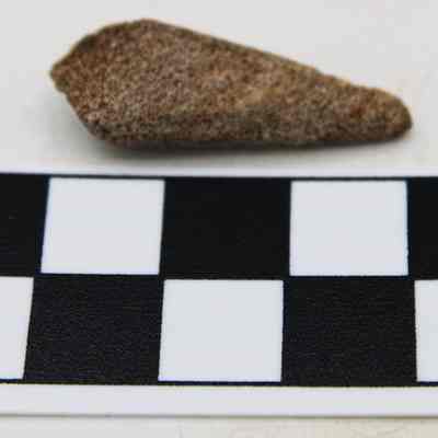 Closeup of  coral abrader & scale: A small, pointed coral artifact rests beside a scale marked in centimeters, made of alternating black and white squares.